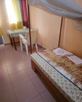 CHAMBRE 17 - REZ DE CHAUSSEE